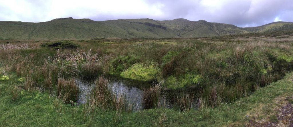 8-5 hike faja grande5 pan water