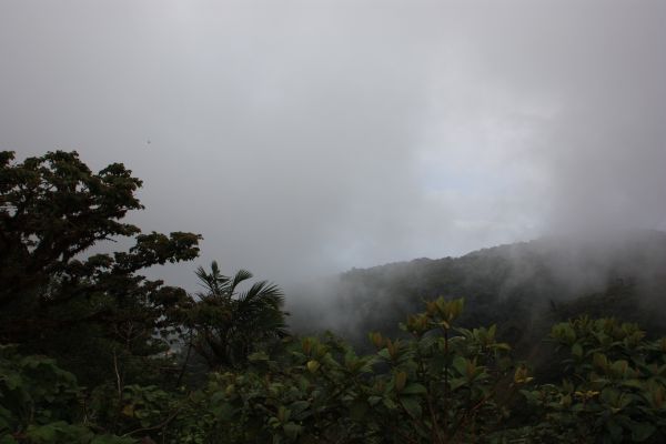 cloudforest2