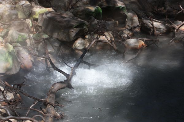 kokend water midden in het bos