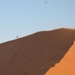 namib thumb1